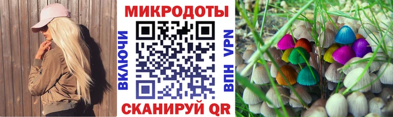 купить наркотик  мега рабочий сайт  Галлюциногенные грибы Psilocybe  Бикин 